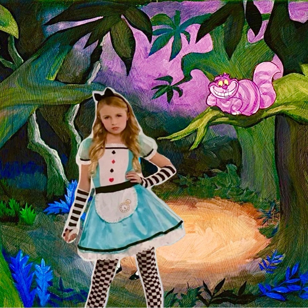Disney Alice in Wonderland Costume Size 4-6.